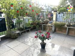 Villa Verde (D23), Terrace #527282941